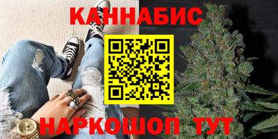 гашик Краснознаменск