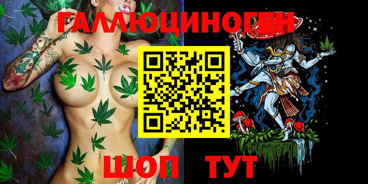 Галлюциногенные грибы Psilocybe  Вход с VPN  Кашира 